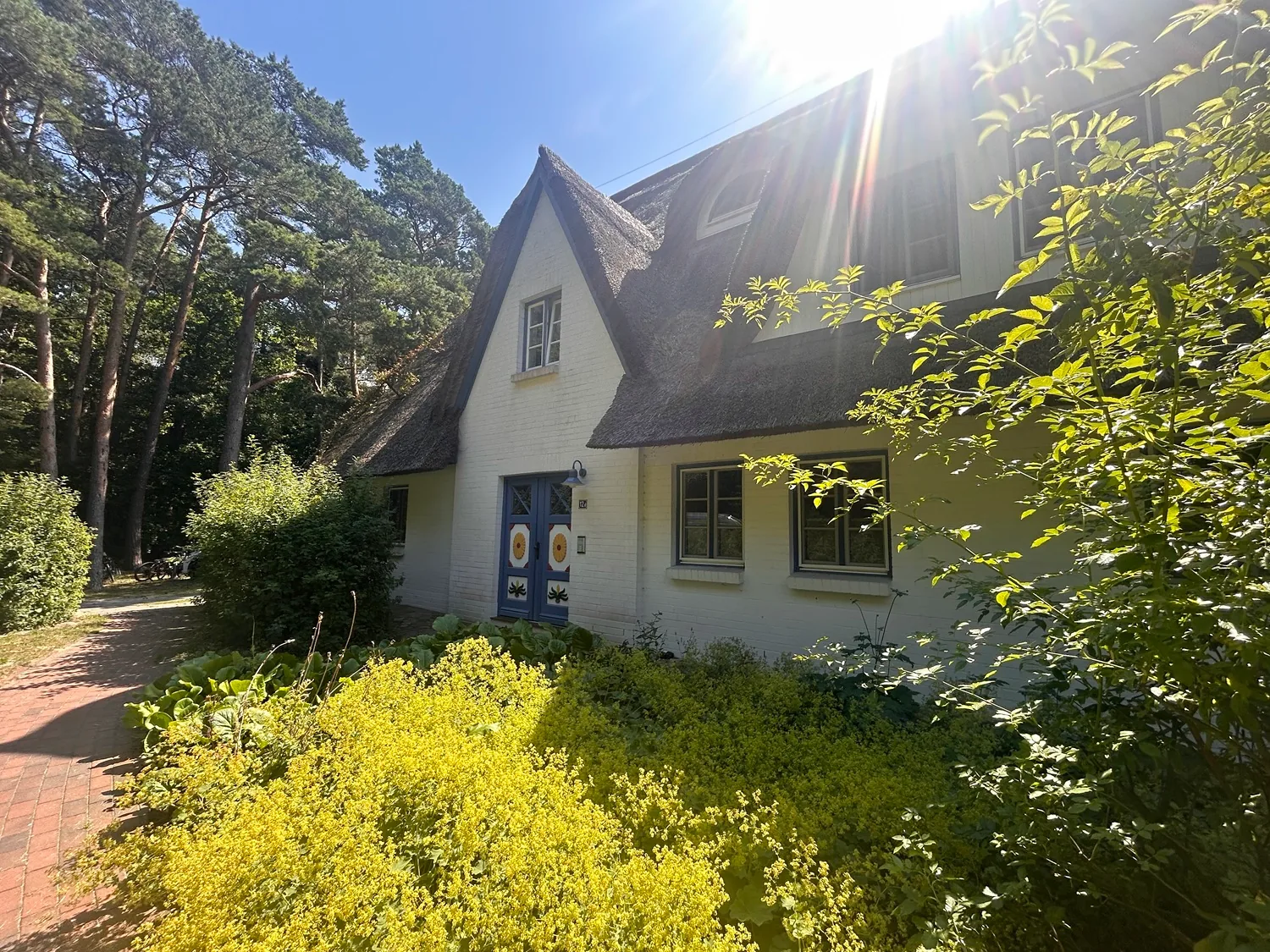 Hauseingang unter dem Reetdach mit Garten und Kiefern