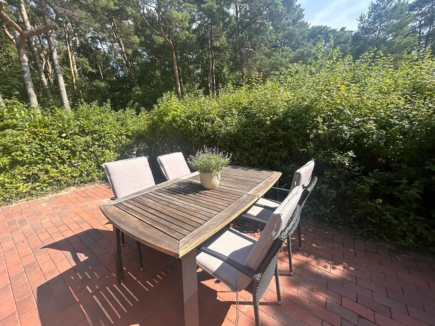 Terrassentisch mit vier Stühlen vor Hecken und Kiefern