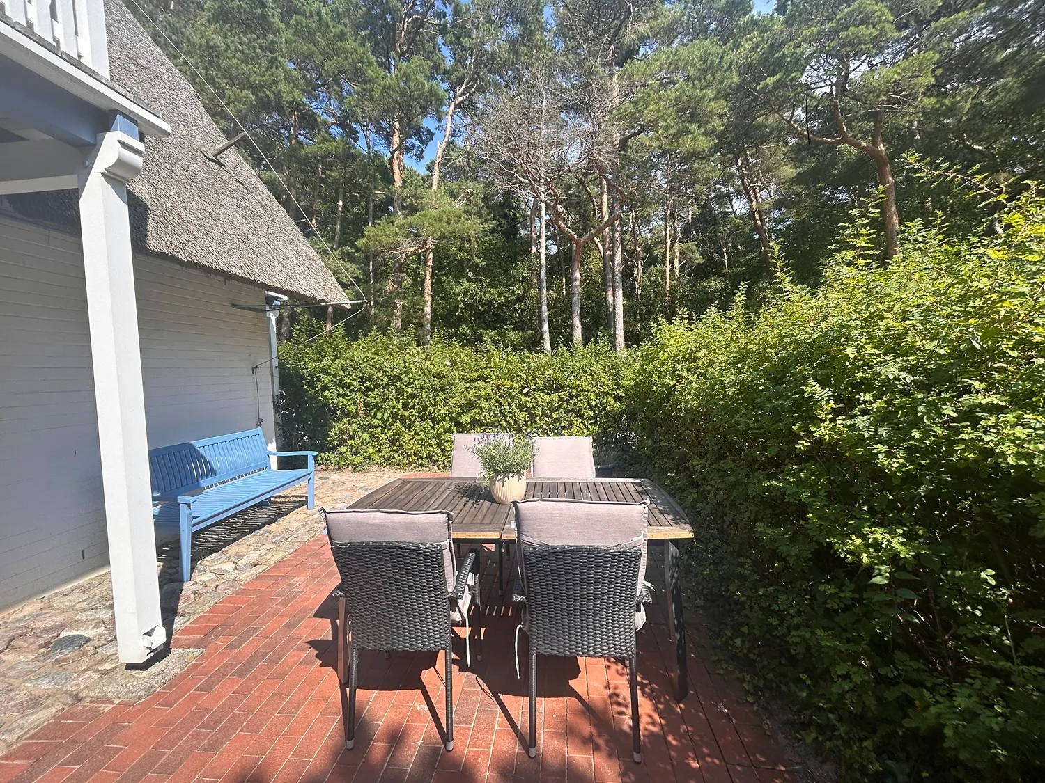 Sitzgruppe auf der Terrasse mit Blick in den Kiefernwald