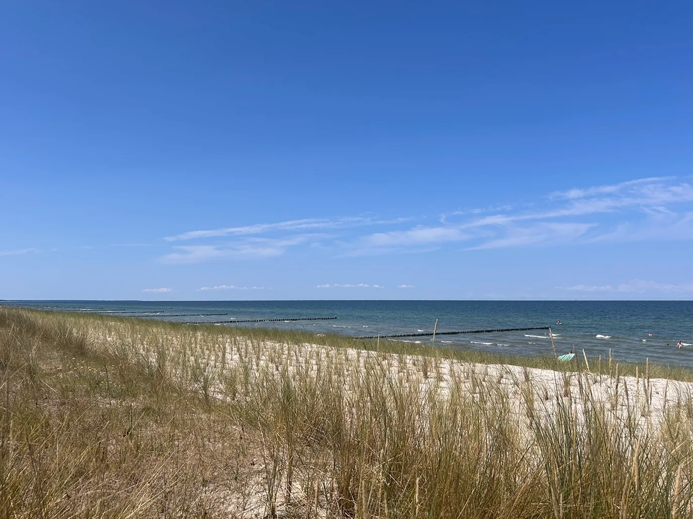 Ostseestrand mit Dünengräsern, Sand und Meer