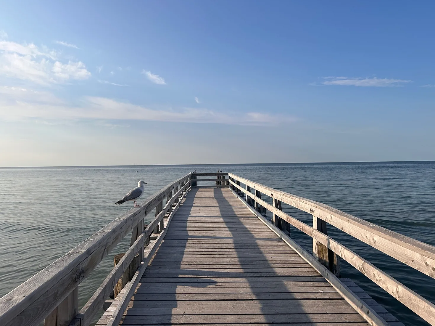 Holzsteg über der Ostsee mit Möwe auf dem Gelaender